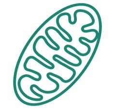 Mitochondrial compartment