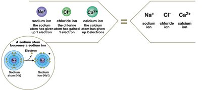 Formation of sodium chloride (NaCl) ionic compound