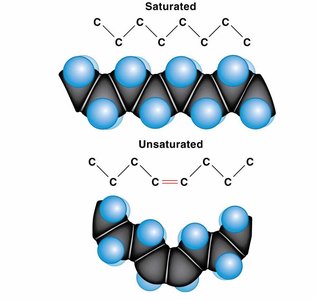Saturated and unsaturated fatty acids