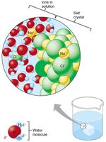 Salt dissociation in water
