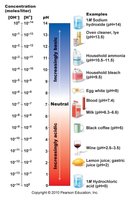 pH scale with examples