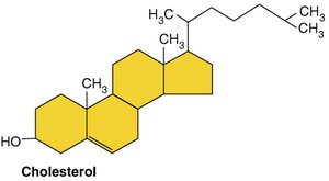 Cholesterol structure