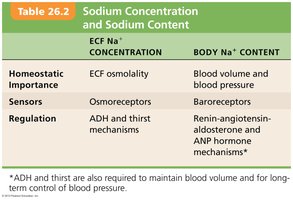 Table comparing sodium concentration and content