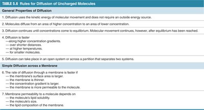Factors affecting rate of diffusion