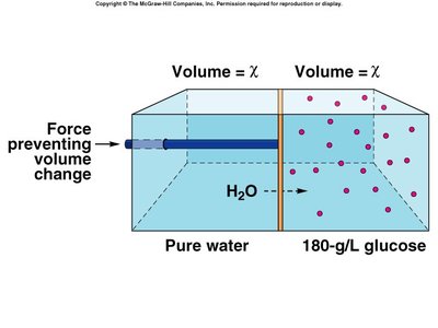 Osmotic pressure diagram