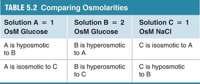 Comparing osmolarities