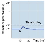 EPSP graph