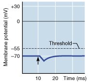 IPSP graph