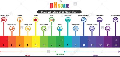 pH scale with common substances