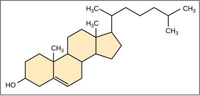 Steroid structure (cholesterol)
