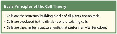 Basic Principles of the Cell Theory