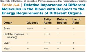 Glucose sparing and alternative fuel usage