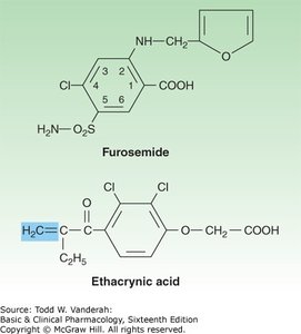 Structures of furosemide and ethacrynic acid