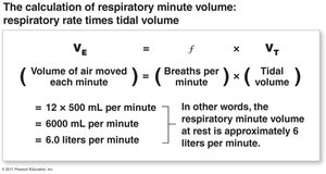 Calculation of respiratory minute volume (alternative example)