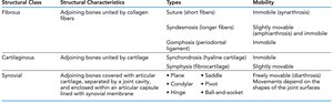 Summary of Joint Classes Table