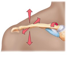 Sternoclavicular Movements