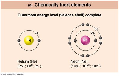 Valence Shell Inert Anatomy & Physiology Chemistry Study Guide for Exams | Notes