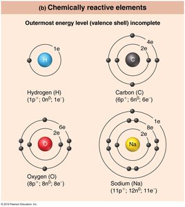 Valence Shell Inert Anatomy & Physiology Chemistry Study Guide for Exams | Notes