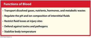 Functions of blood