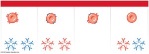 Blood cell types and antibodies
