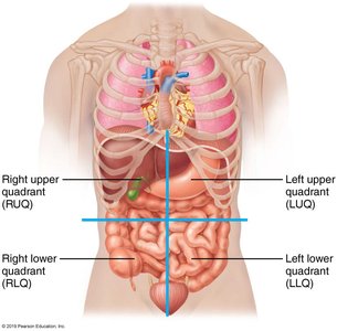 Abdominal quadrants