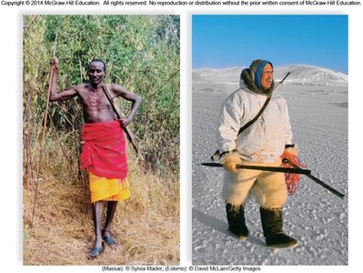 Human adaptation to different environments