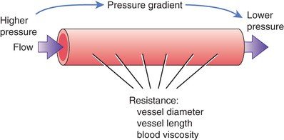 Diagram showing pressure gradient and resistance factors in a blood vessel