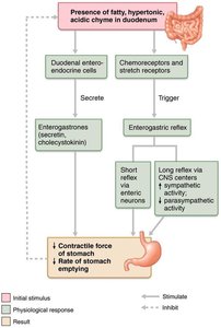 Regulation of gastric emptying