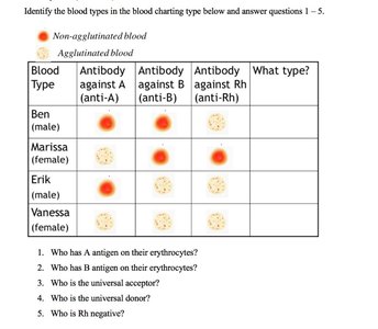 Blood typing chart showing agglutination reactions for different blood types