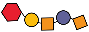 Monomers represented by different shapes