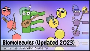 Cartoon representations of biomolecules
