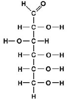 Structure of a carbohydrate molecule
