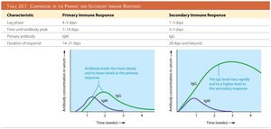 Comparison of primary and secondary immune responses