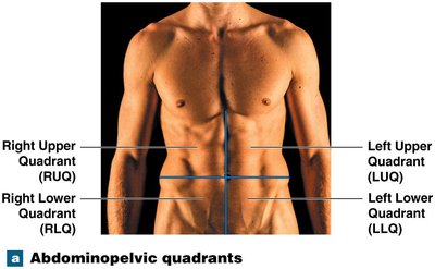 Abdominopelvic quadrants