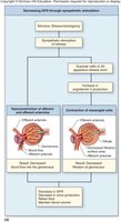 Decreasing GFR through sympathetic stimulation