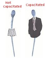 Sperm capacitation cartoon