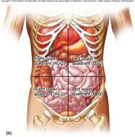 Abdominal quadrants