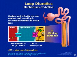 Loop diuretics mechanism of action