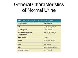 General characteristics of normal urine table