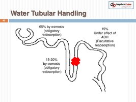 Water tubular handling diagram
