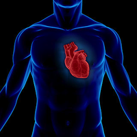 Heart location in the chest