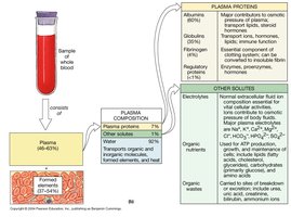 Blood composition and plasma proteins
