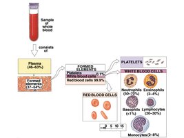 Blood composition and formed elements