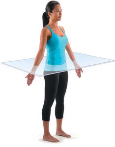 Transverse (horizontal) plane illustration