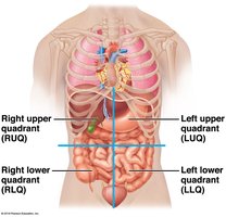 Abdominopelvic quadrants