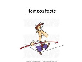 Homeostasis cartoon