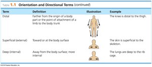 Table of orientation and directional terms