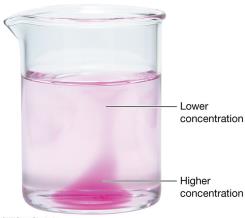 Diffusion concentration gradient