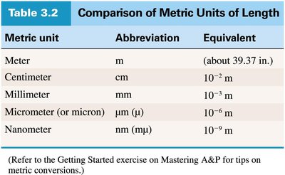 Table comparing metric units of length