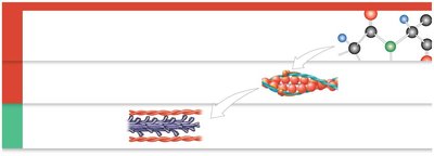 Illustration of molecules forming fibers and structures